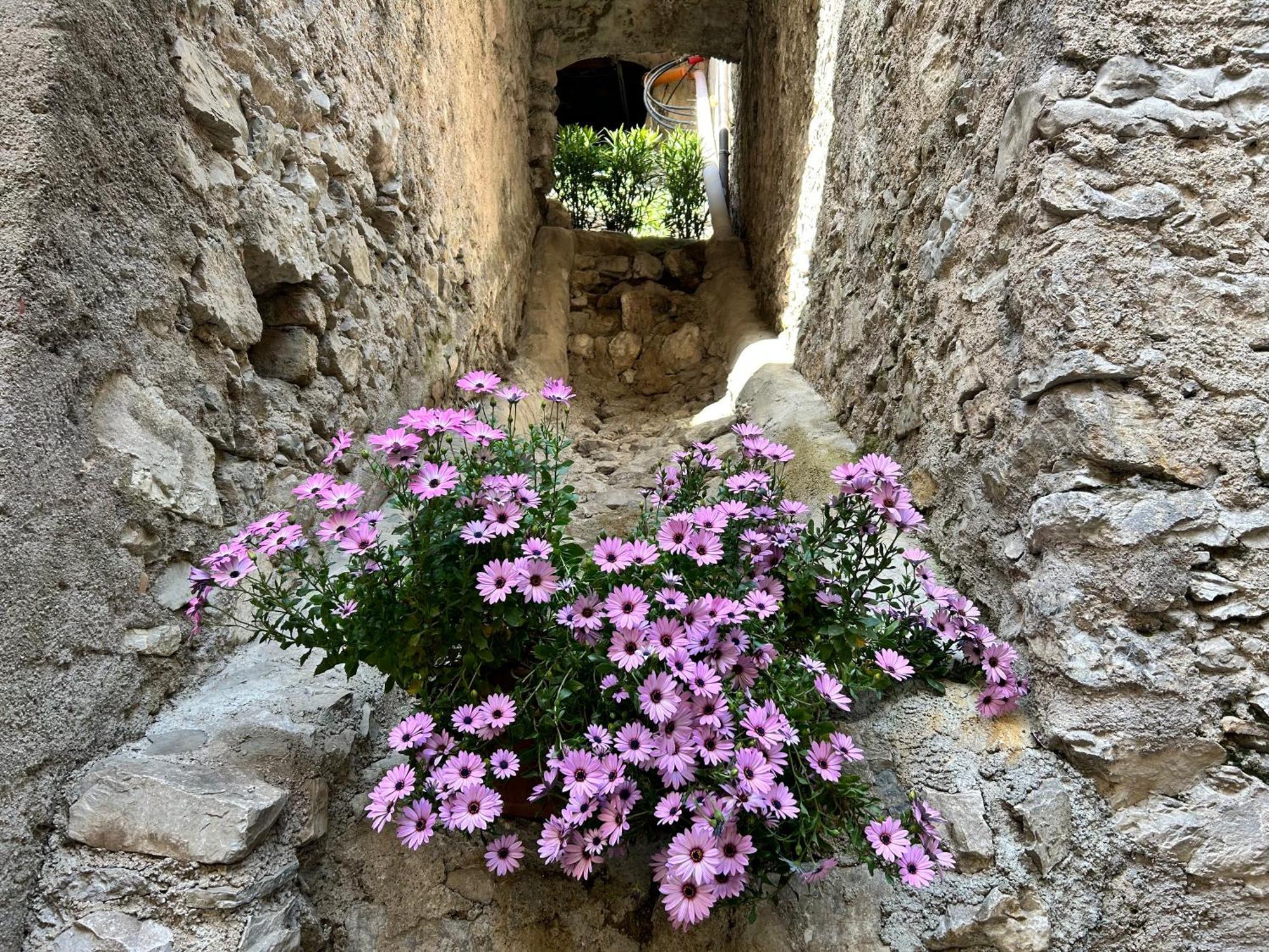Studios Al Castello Dei Limoni Limone sul Garda Exteriör bild