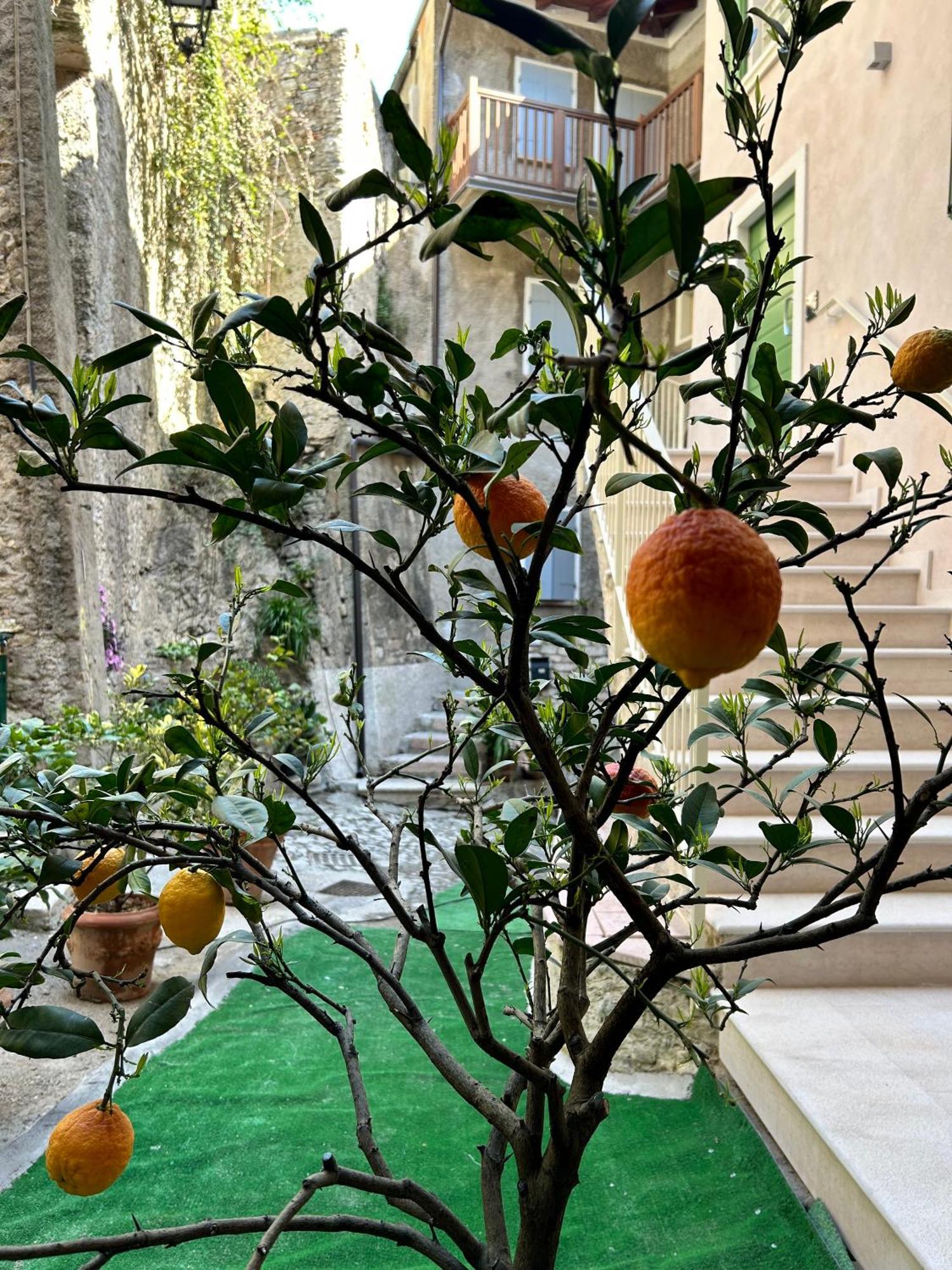 Studios Al Castello Dei Limoni Limone sul Garda Exteriör bild